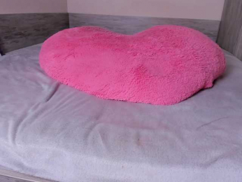 jialisa bongacams stream image