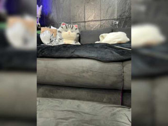 MagicMelody bongacams stream image