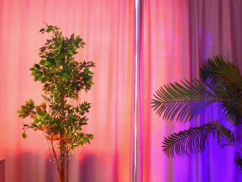 ArtTeasee bongacams stream image