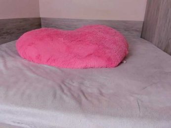 jialisa bongacams stream image