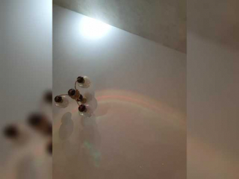 LittleDelora bongacams stream image