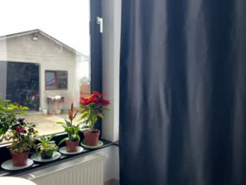 nyconik chaturbate stream image