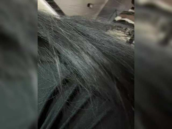 MagicMelody bongacams stream image