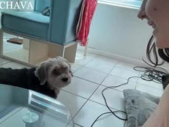 frenchava chaturbate stream image