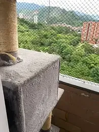 marco_allison01 stripchat stream image