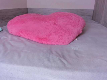 jialisa bongacams stream image