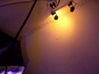 apotheosiss camsoda stream image