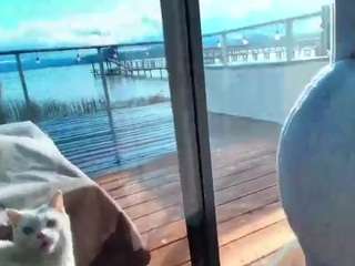 starryari69 camsoda stream image