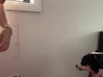 kittengirlxo chaturbate stream image