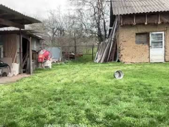 patry333 chaturbate stream image