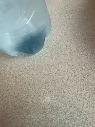 Nalgonasex_ stripchat stream image