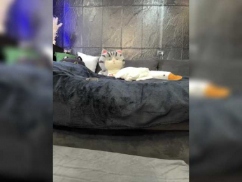 MagicMelody bongacams stream image