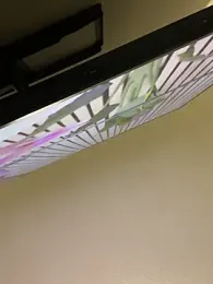 tastylolaaa stripchat stream image