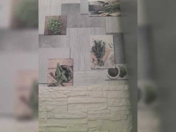 Anesteishen bongacams stream image