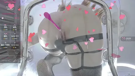 Xenomy stripchat stream image