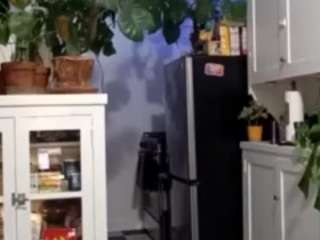 sexysagittarius1212 camsoda stream image