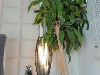 zhuyhong camsoda stream image