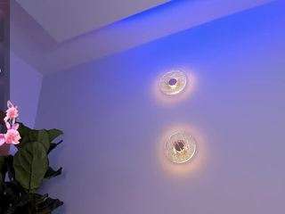 sweet-arii camsoda stream image