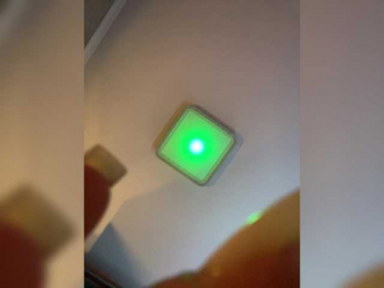 PALMIIRA bongacams stream image