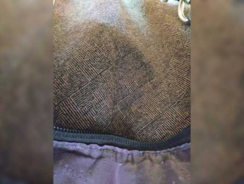 EditaMilf bongacams stream image