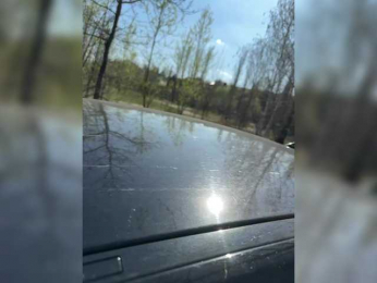 GAVKA_ bongacams stream image