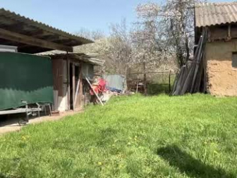 patry333 chaturbate stream image