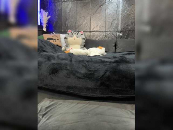 MagicMelody bongacams stream image