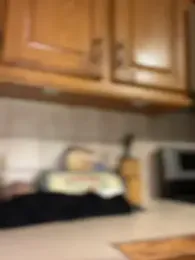 LittleMissEeve stripchat stream image