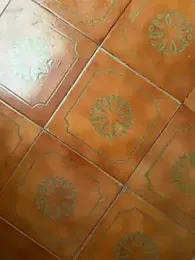 Wet-Pussycat stripchat stream image