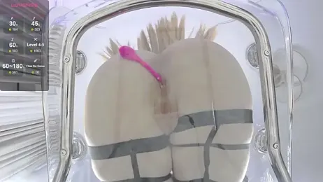 Xenomy stripchat stream image