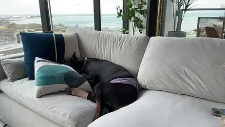 Graciemae_baexx stripchat stream image