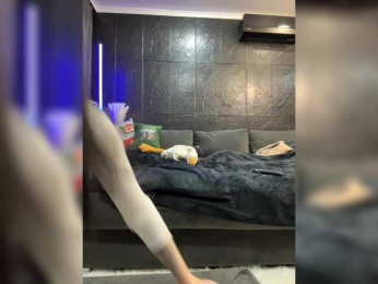 MagicMelody bongacams stream image