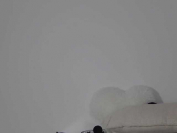 Little_Lilu bongacams stream image