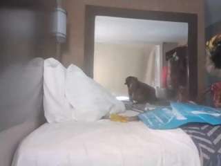 stalliontheesavage camsoda stream image