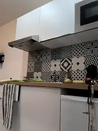 Amani_thewolf stripchat stream image