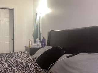 t1ger camsoda stream image