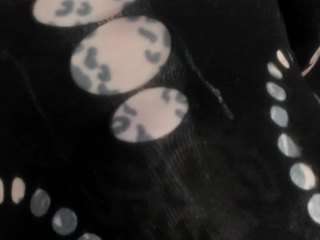 fermercury camsoda stream image