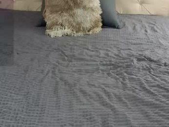 freyabyrne chaturbate stream image