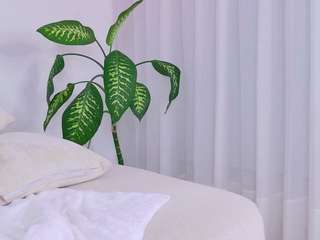 kali-hill camsoda stream image