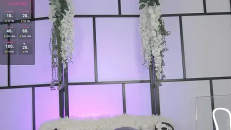 Xenomy stripchat stream image