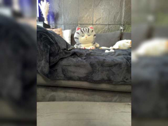 MagicMelody bongacams stream image