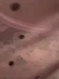 sammyqueenx21 stripchat stream image