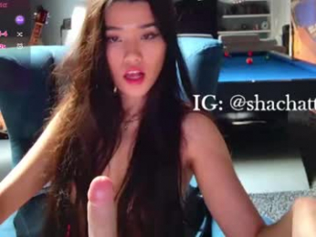 shachatte chaturbate stream image