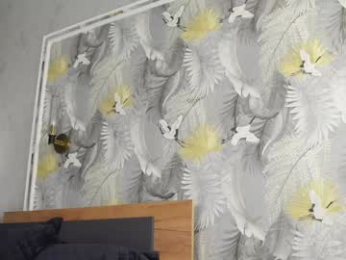 alicepreuoston chaturbate stream image